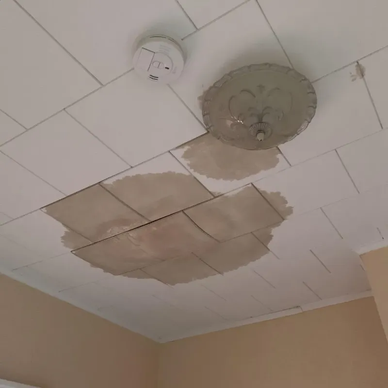 Ceiling Water Damage Repair in Hamburg, IA
