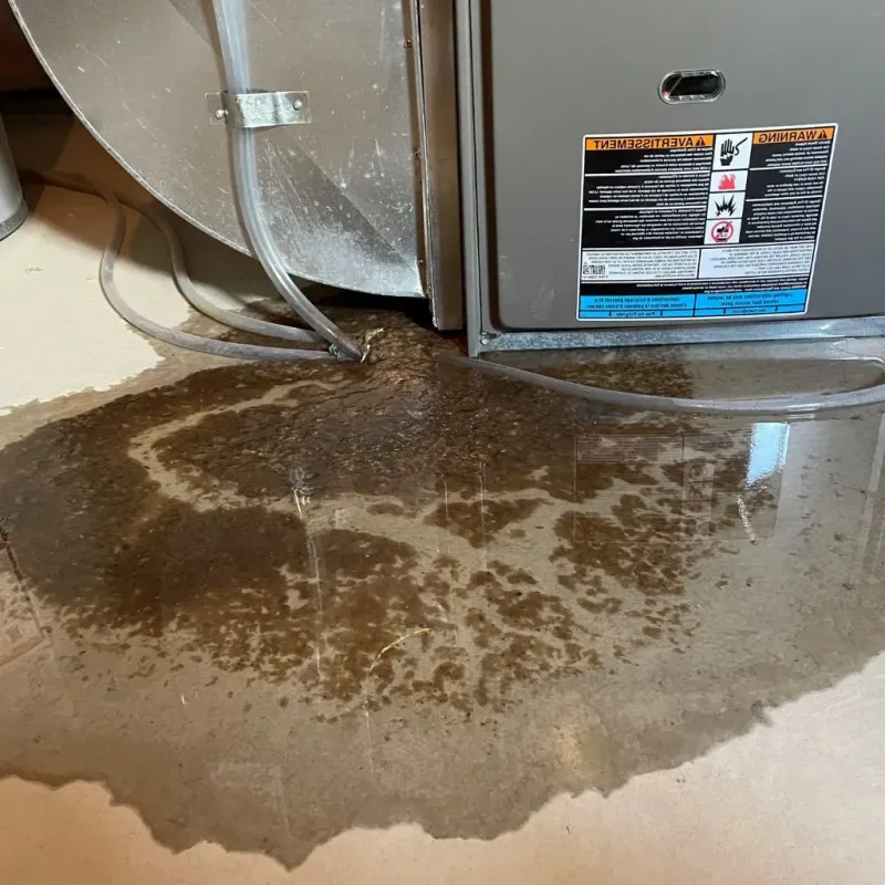 Pipe Burst and Leak Restoration in Hamburg, IA