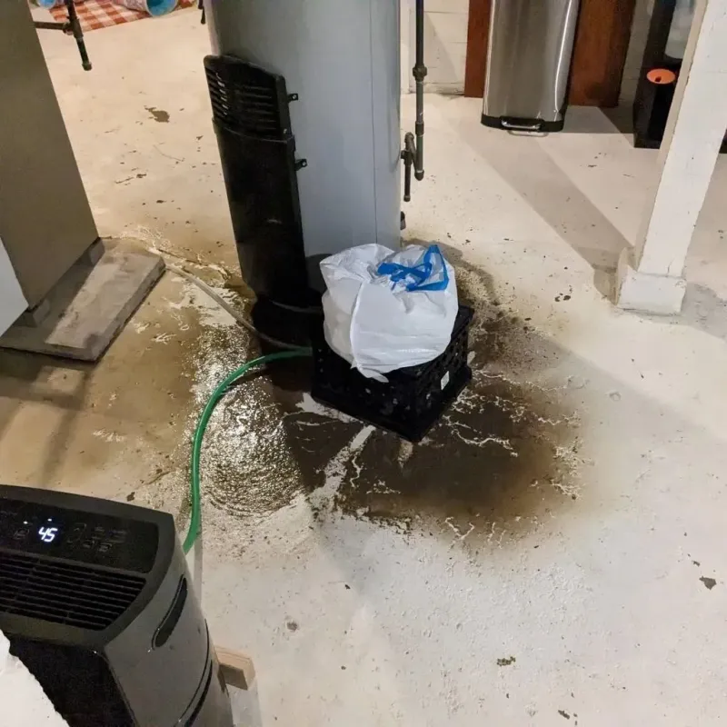 Sewage Backup Cleanup Service in Hamburg, IA